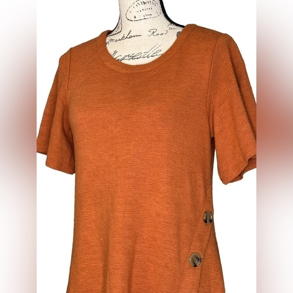 Spense knee length thick dress size 10 buttons on side short sleeves rust color - Picture 2 of 7